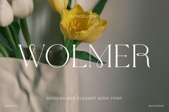 Wolmer: A Modern Serif for Elegant Design